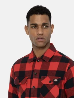 Dickies Shirts*Sacramento Shirt