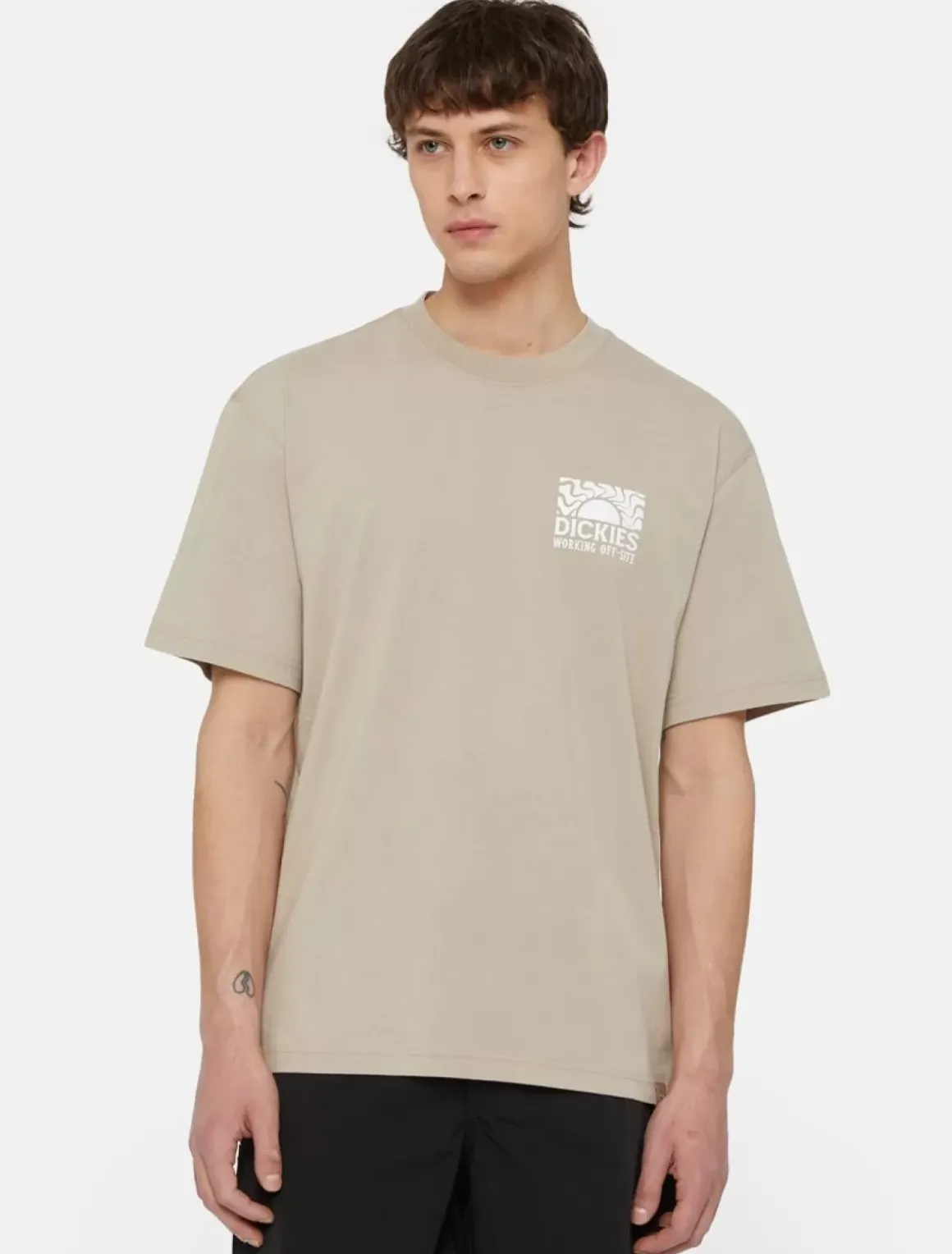 Dickies T-Shirts*Saltville Short Sleeve T-Shirt