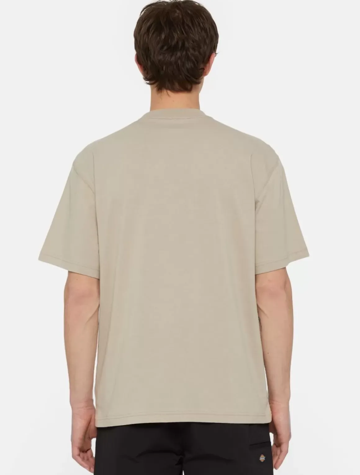 Dickies T-Shirts*Saltville Short Sleeve T-Shirt