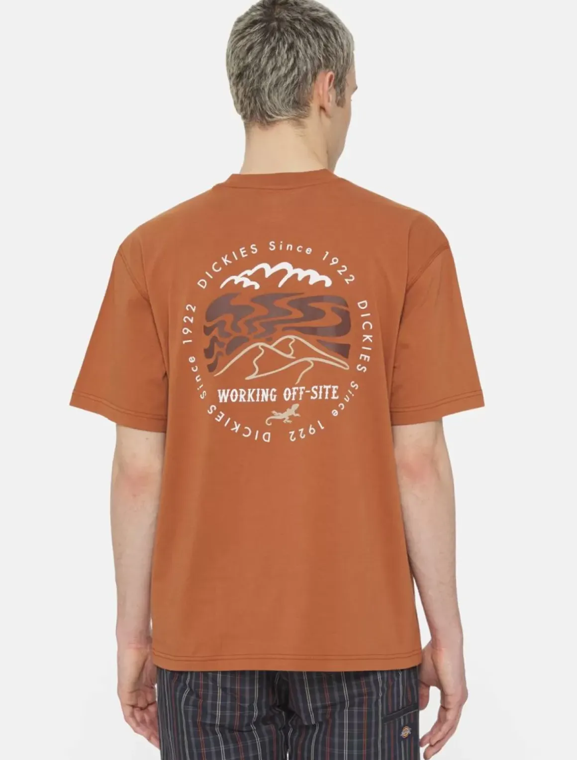 Dickies T-Shirts*Stanardsville Short Sleeve T-Shirt