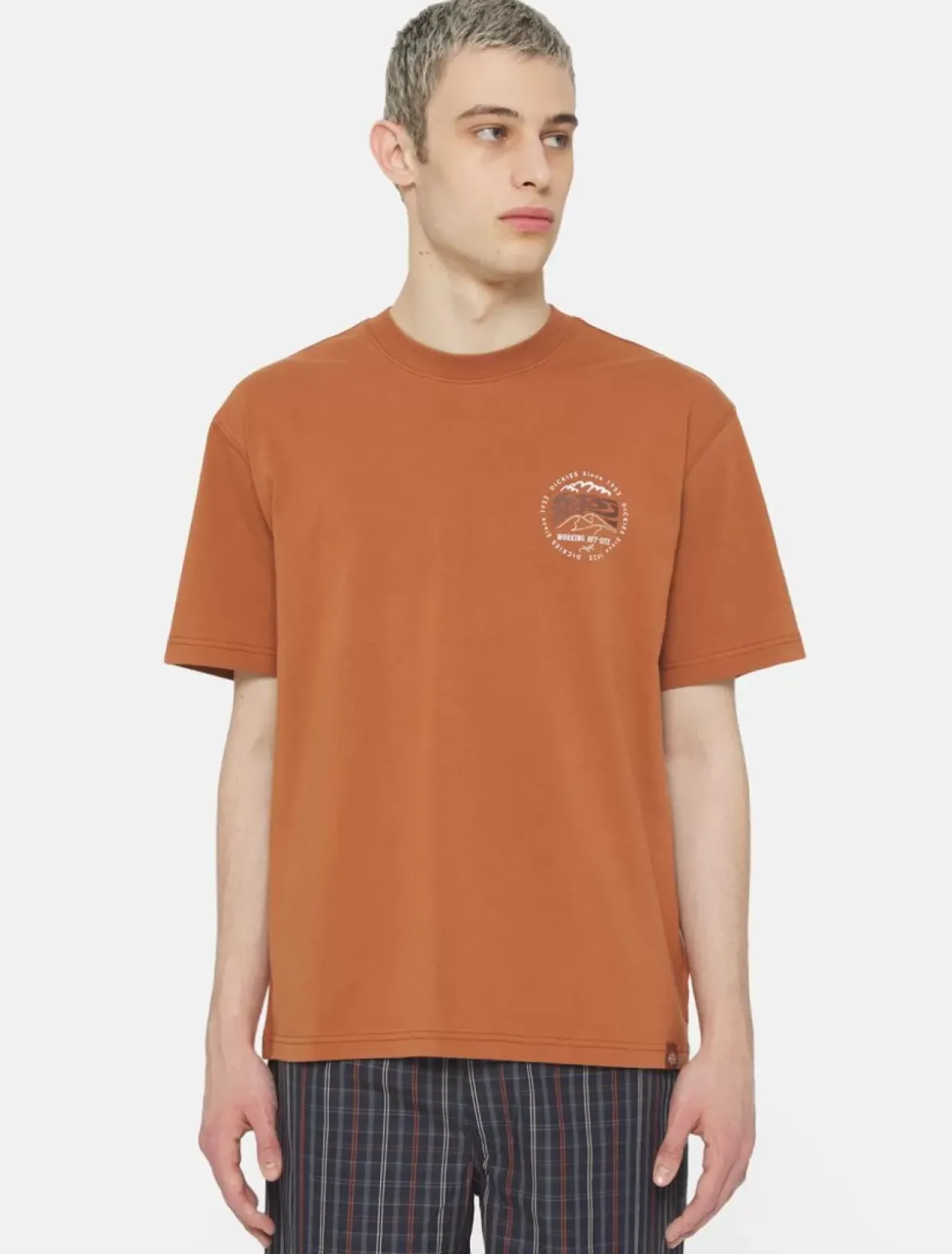 Dickies T-Shirts*Stanardsville Short Sleeve T-Shirt