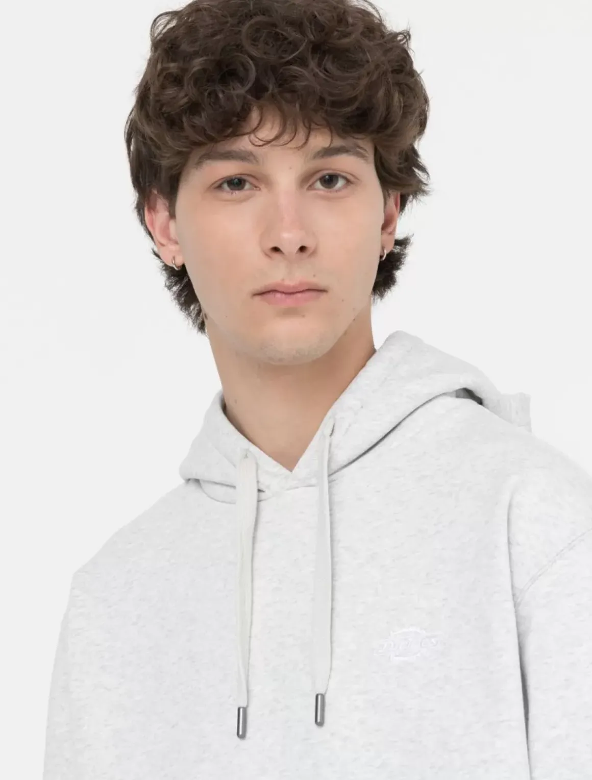 Dickies Sweatshirts & Hoodies*Summerdale Hoodie