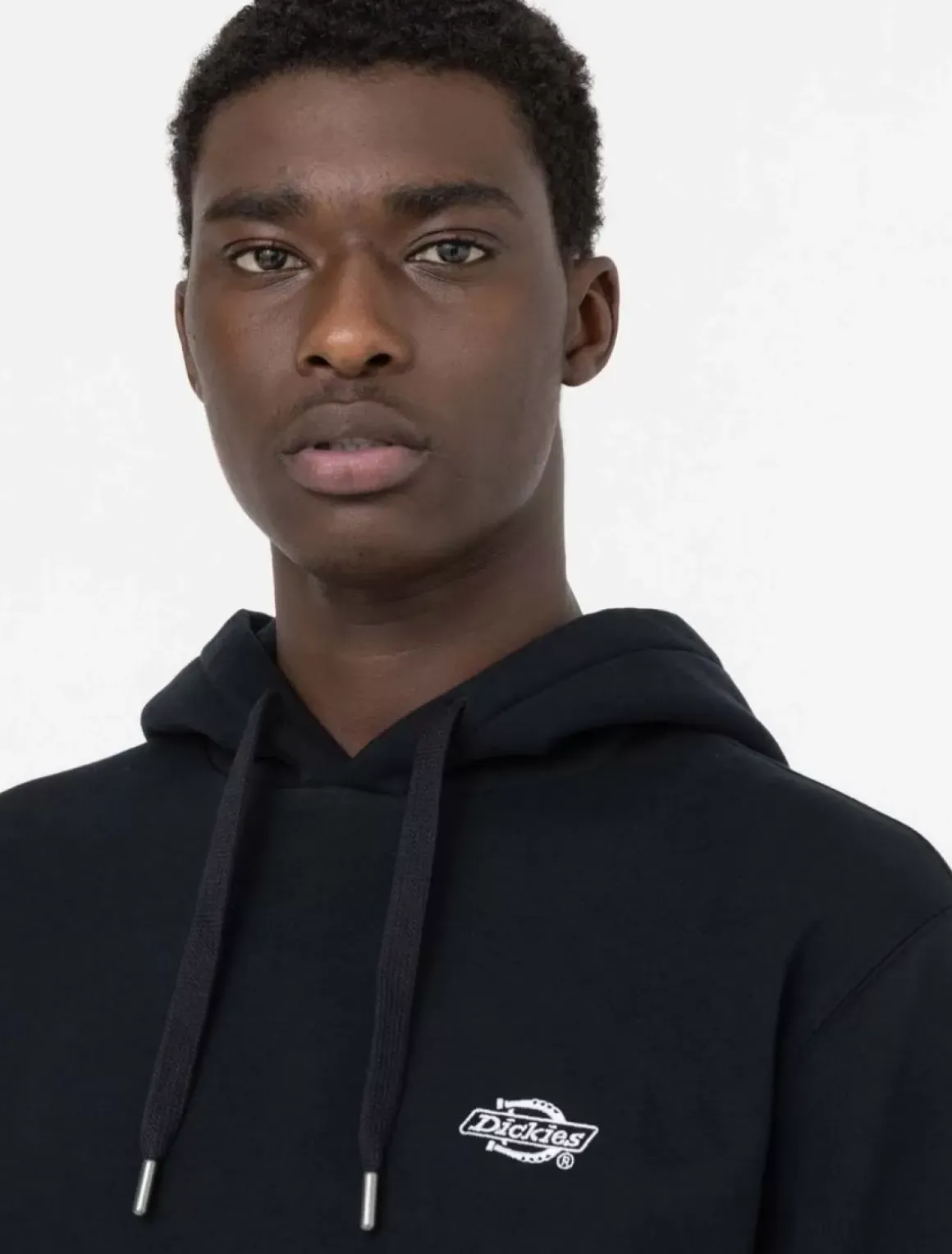 Dickies Sweatshirts & Hoodies*Summerdale Hoodie