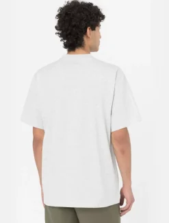 Dickies T-Shirts*Summerdale Short Sleeve T-Shirt