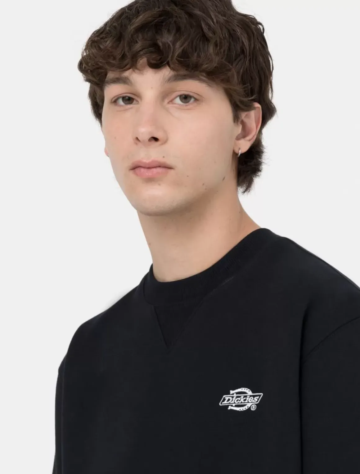 Dickies Sweatshirts & Hoodies*Summerdale Sweatshirt