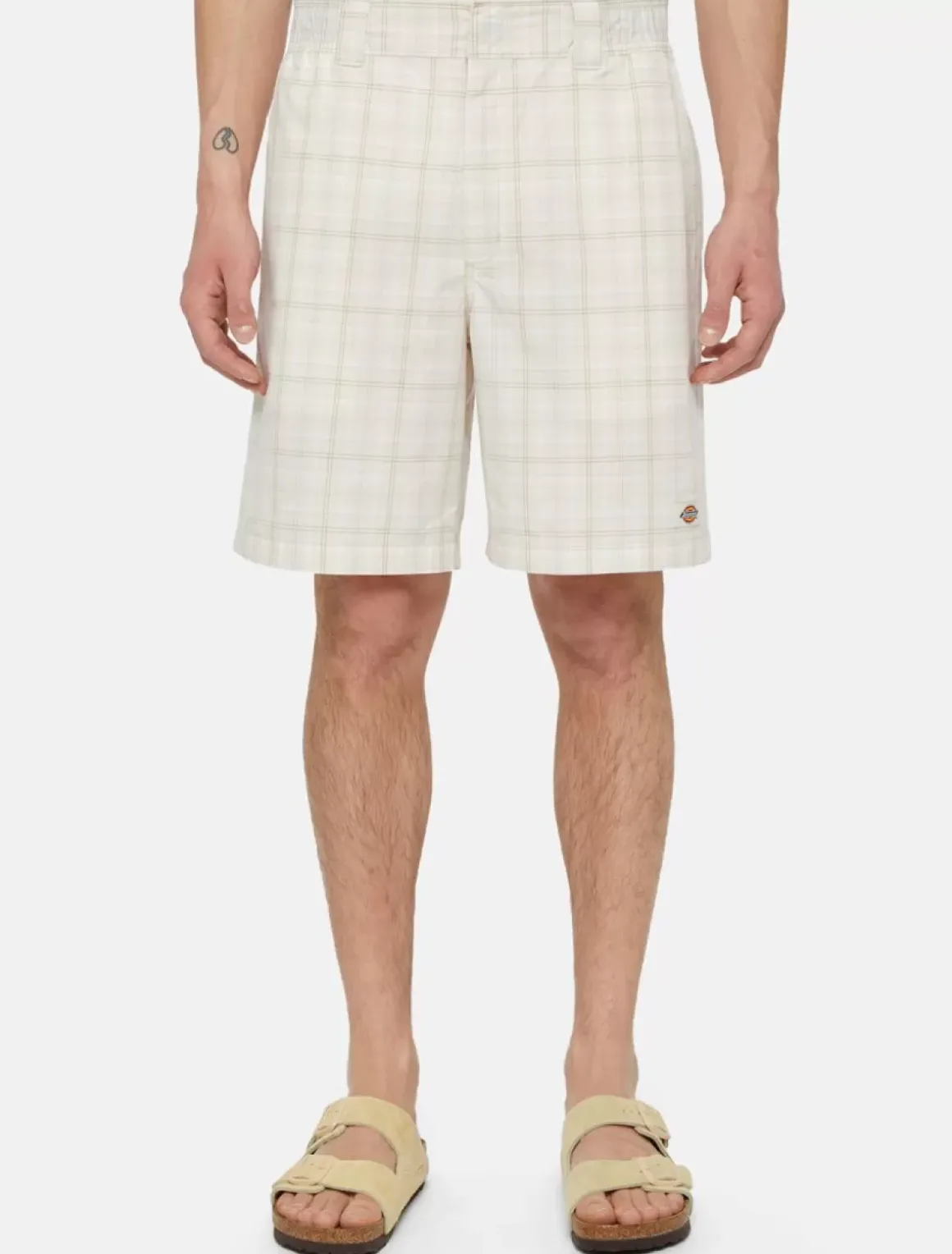 Dickies Shorts*Surry Shorts