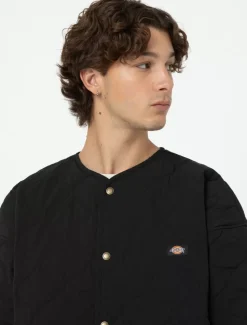 Dickies Jackets & Puffers*Thorsby Liner Jacket
