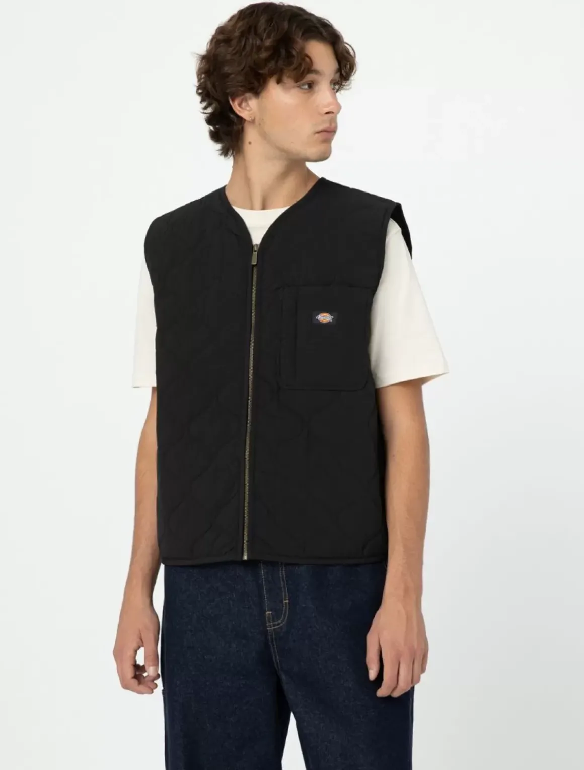 Dickies Gillets & Vests|Jackets & Puffers*Thorsby Liner Vest