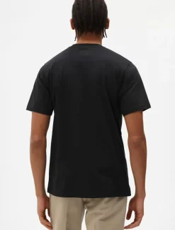 Dickies T-Shirts*Three-Pack T-Shirts