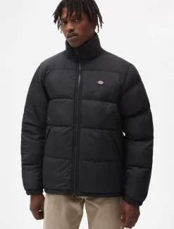 Dickies Jackets & Puffers*Waldenburg Jacket