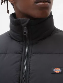 Dickies Jackets & Puffers*Waldenburg Jacket
