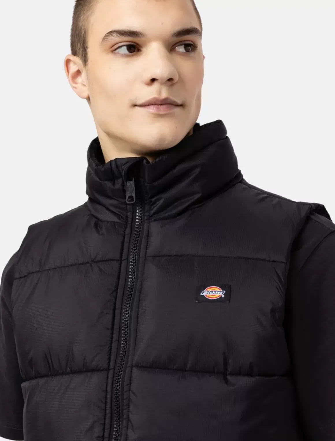 Dickies Gillets & Vests|Jackets & Puffers*Waldenburg Vest
